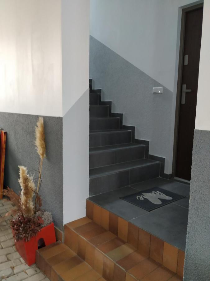 شقة Mehrfamilien Haus شكويديتس المظهر الخارجي الصورة